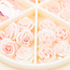 The Studio - Art Pack #550 - Roses - Light Pink