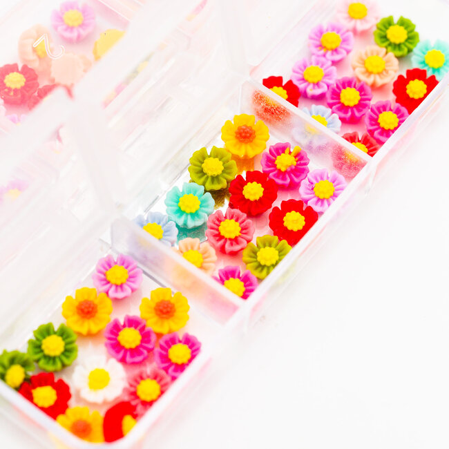 The Studio - Art Pack #548 - Assorted Flowers