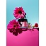 V Beauty Pure V Beauty Pure - Cover - Poster Girl - 1.5 oz