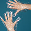 DND - Clear Plastic Gloves - 500 count