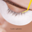 Stacy Lash Stacy Lash - Lash Primer for Eyelash Extension - 40 ml
