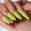 DND DIVA - 280 - Salsa Verde - AIO Powder