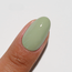 DND DIVA - 277 - Foggy Fern - AIO Powder