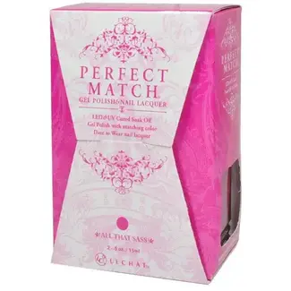 LeChat Perfect Match - 179 - DUO Polish - All That Sass