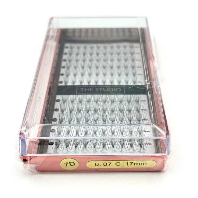 The Studio - Lash  - PreVolume - 7D - .07 - C - 17mm