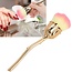 The Studio - Rose Dust Brush - Orange/ Yellow