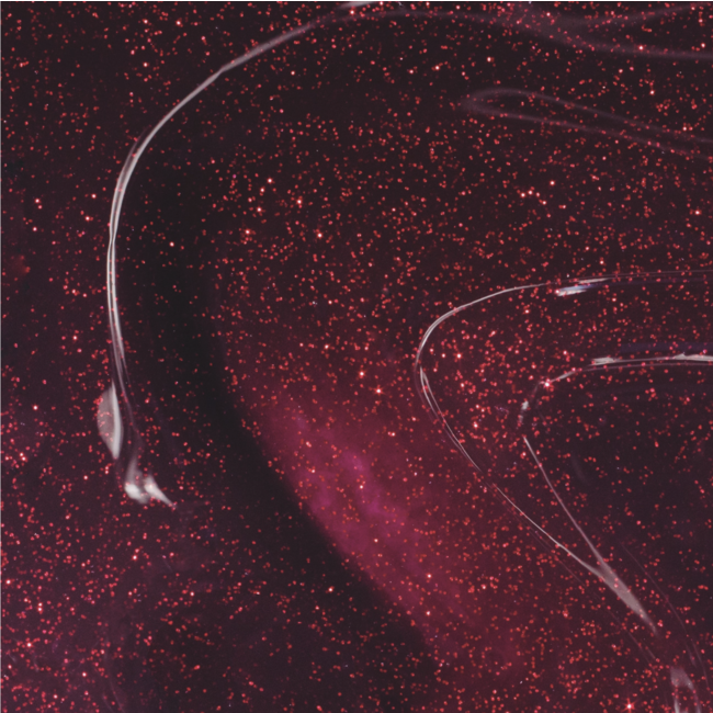 Apres - Gel Couleur - G03 Butterfly Galaxy - 0.5 oz