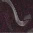 Apres Apres - Gel Couleur - G02 Andromeda Galaxy - 0.5 oz