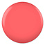 DC DC - 0 037 - Terr Pink - DUO Polish