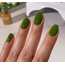 DND DIVA - 287 - Houseplant - AIO Powder
