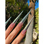 V Beauty Pure - Gel Polish - 199 Abundance*