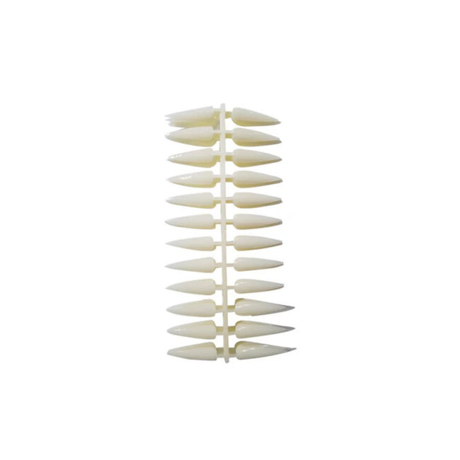 Tip Color Swatch - 24 Nail Sheet - Stiletto Natural - 10 count