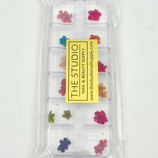 The Studio The Studio - Art Pack #394 - Assorted Dry Flowers - 04