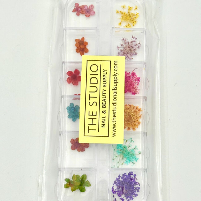 The Studio - Art Pack #393 - Assorted Dry Flowers - 03