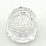 The Studio - Crystal Pixie - 5 gram - AB