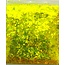Beauty Nails - Nail Ornament Glitter - Yellow