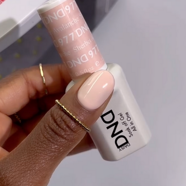 DND - 0 977 - Sherbet Avalanche - DUO Polish