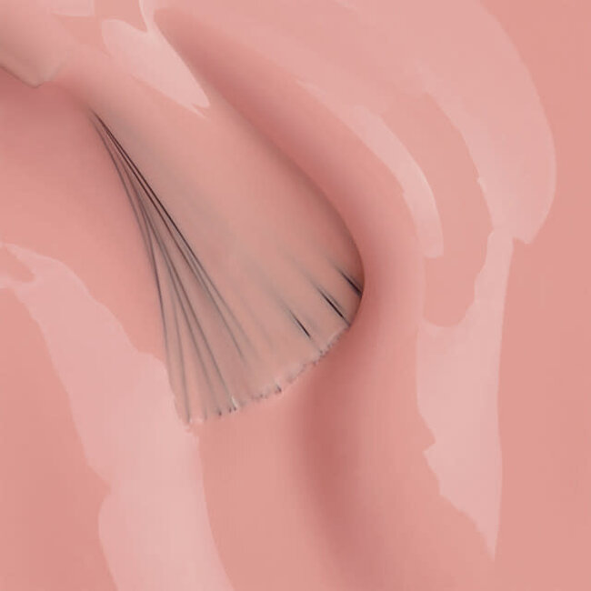 The Gel Bottle - BIAB - Teddy - TPO & Hema Free - 20 ml