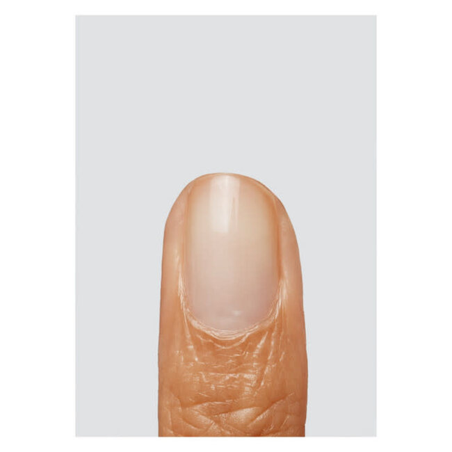 The Gel Bottle - Bond Base - TPO & HEMA Free - 20 ml