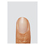 The Gel Bottle - Bond Base - TPO & HEMA Free - 20 ml