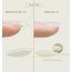 Apres - Bare Gel -X Tip Box - Sculpted