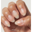 Apres - Bare Gel -X Tip Box - Sculpted