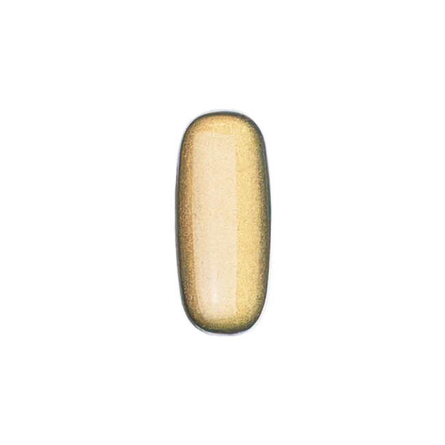 Kokoist - E040 - Vintage Metal Gold Gel