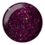 DND - 0 564 - Butterfly World, FL - DUO Polish