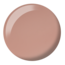 DC - 2442 - Catch Me Sheering - DUO Polish
