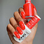 DND - 0 425 - Terra Cotta - DUO Polish