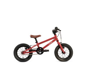 Cleary gecko clearance 12