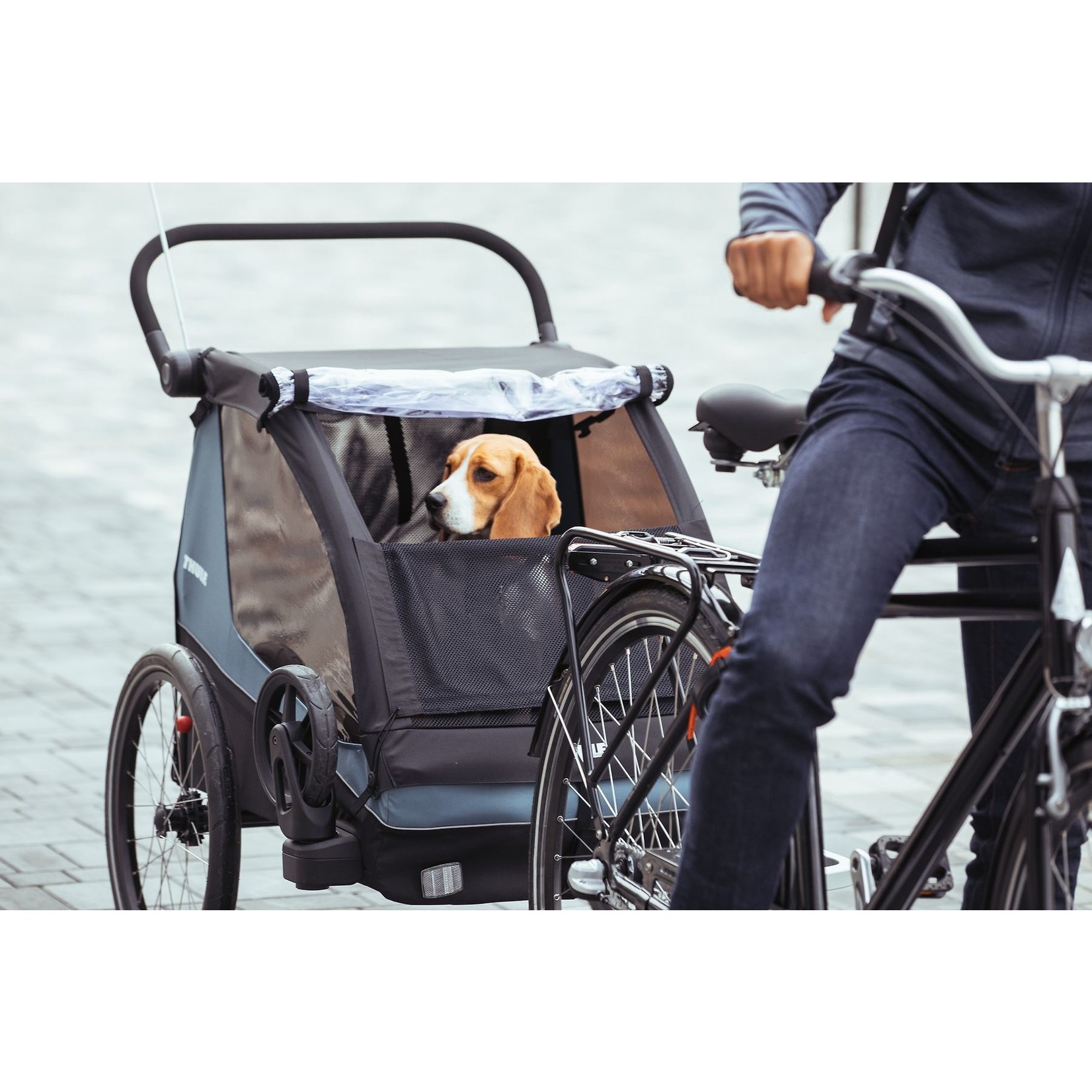 Thule sale bike cart