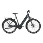 Gazelle Gazelle, Ultimate C8