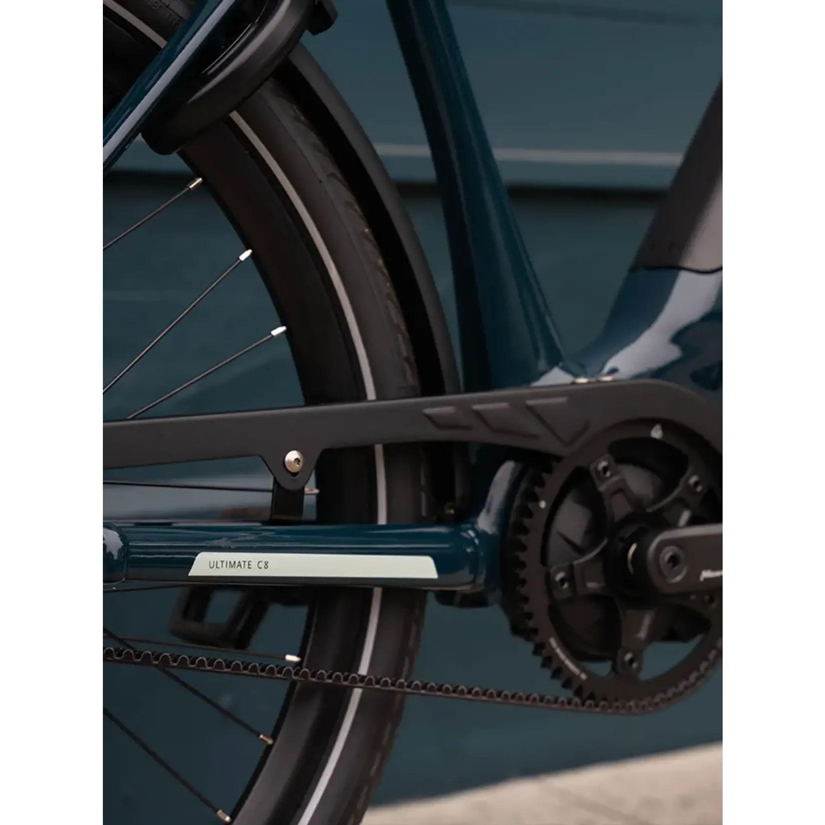 Gazelle Gazelle, Ultimate C8
