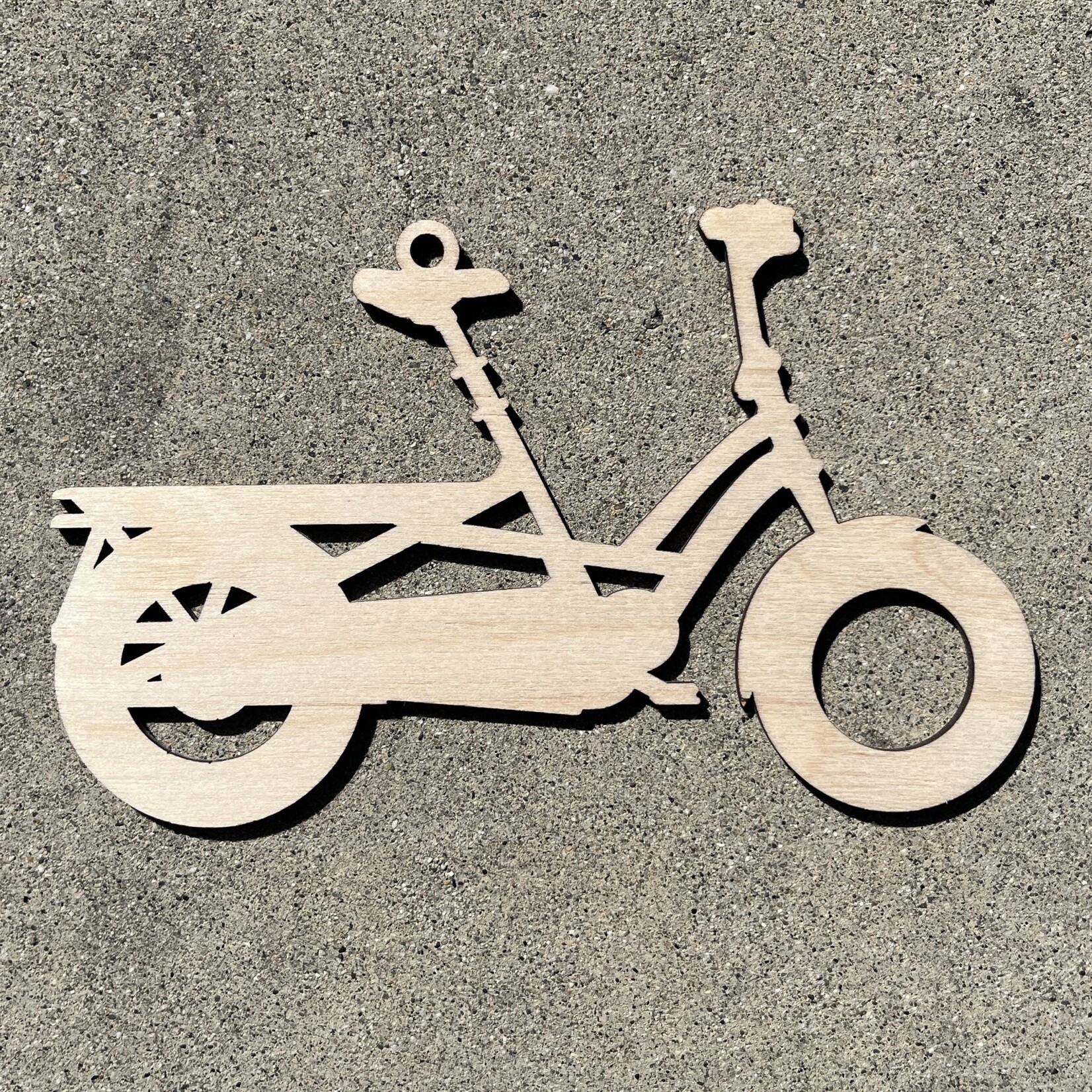 Bc Children's Hospital Ornament : Longtail