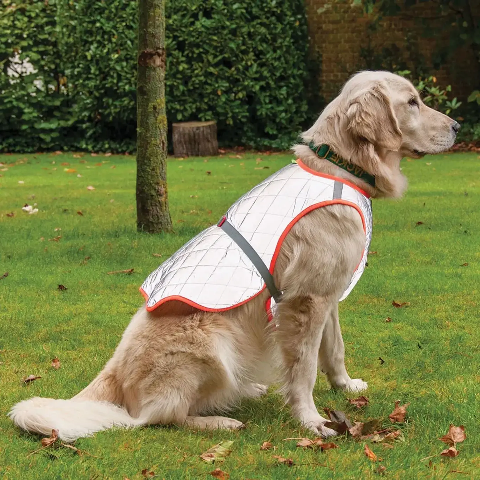 Gofluo GoFluo Rover Reflective Quilted Dog Vest