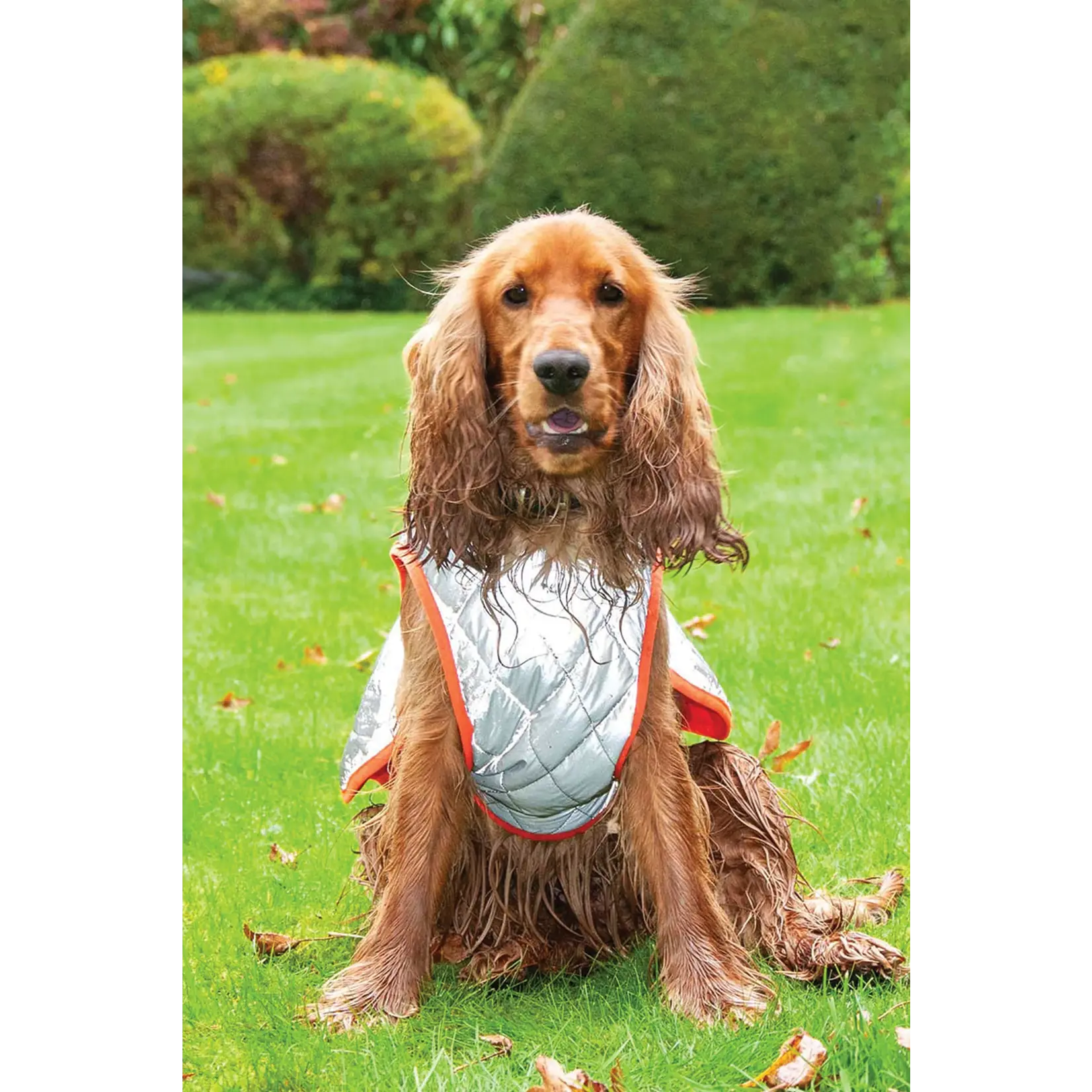 Gofluo GoFluo Rover Reflective Quilted Dog Vest