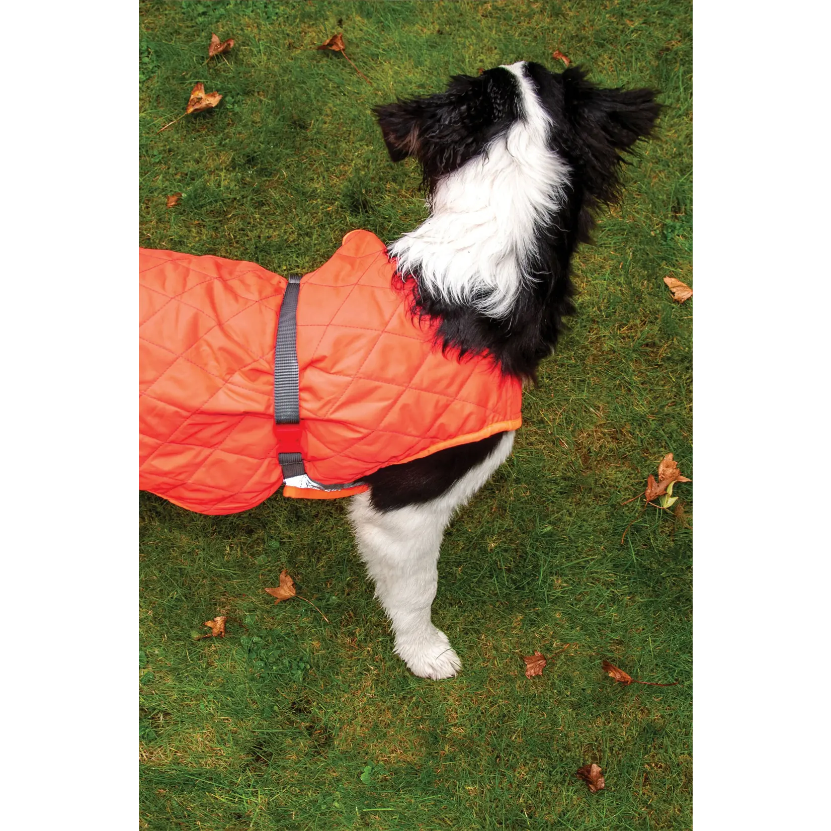 Gofluo GoFluo Rover Reflective Quilted Dog Vest