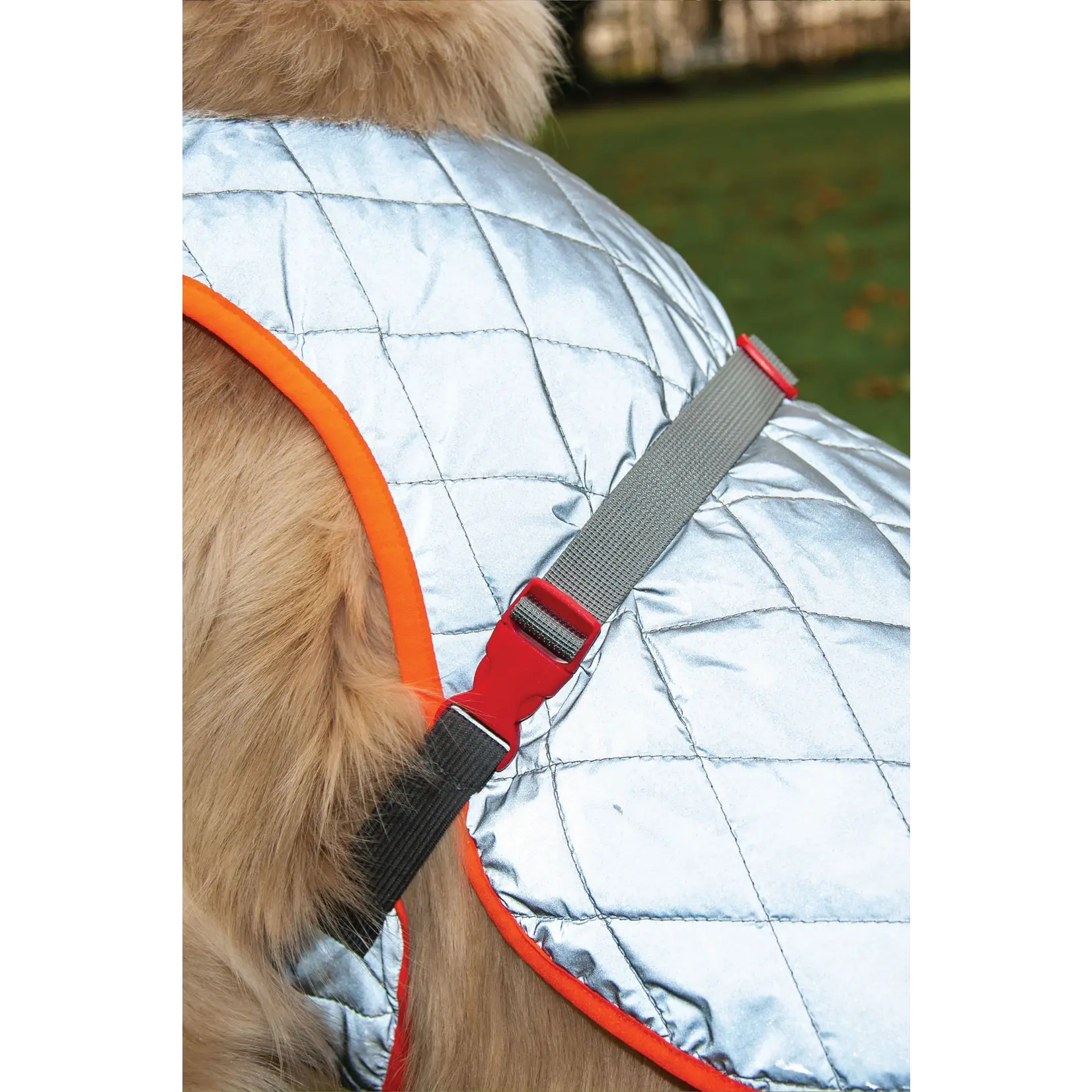 Gofluo GoFluo Rover Reflective Quilted Dog Vest