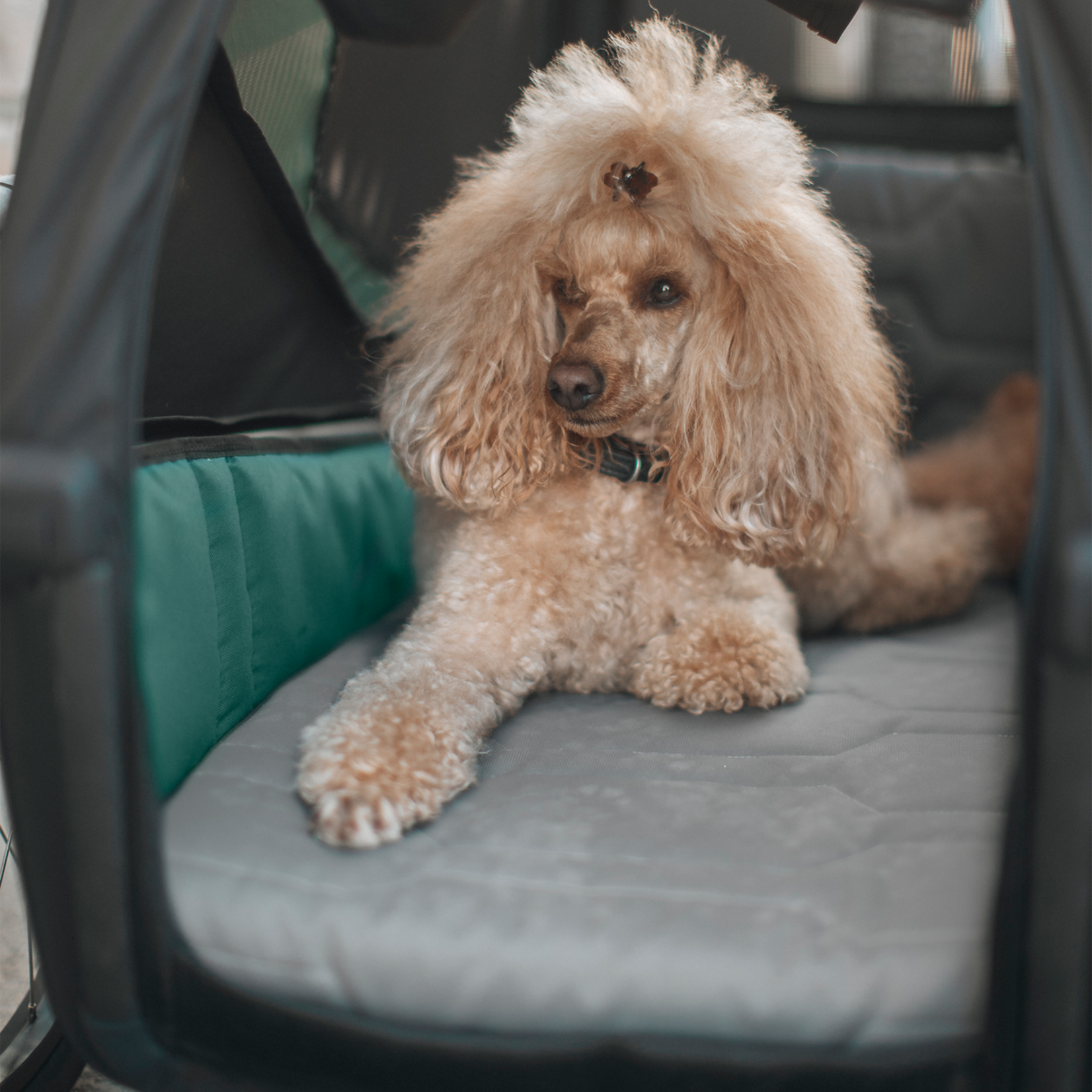 Thule Thule Bexey, Dog Bed
