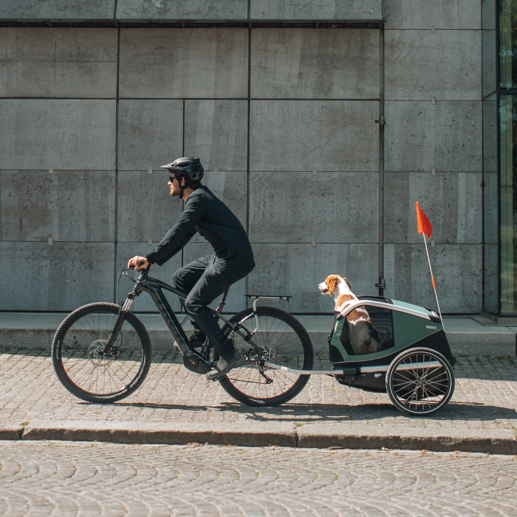 Thule Thule Bexey Hazy Pet Trailer, Green