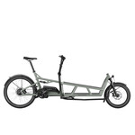 Riese & Muller Riese & Muller, Load4 75 Vario Tundra Grey Matte