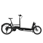 Riese & Muller Riese & Muller, Transporter2 65