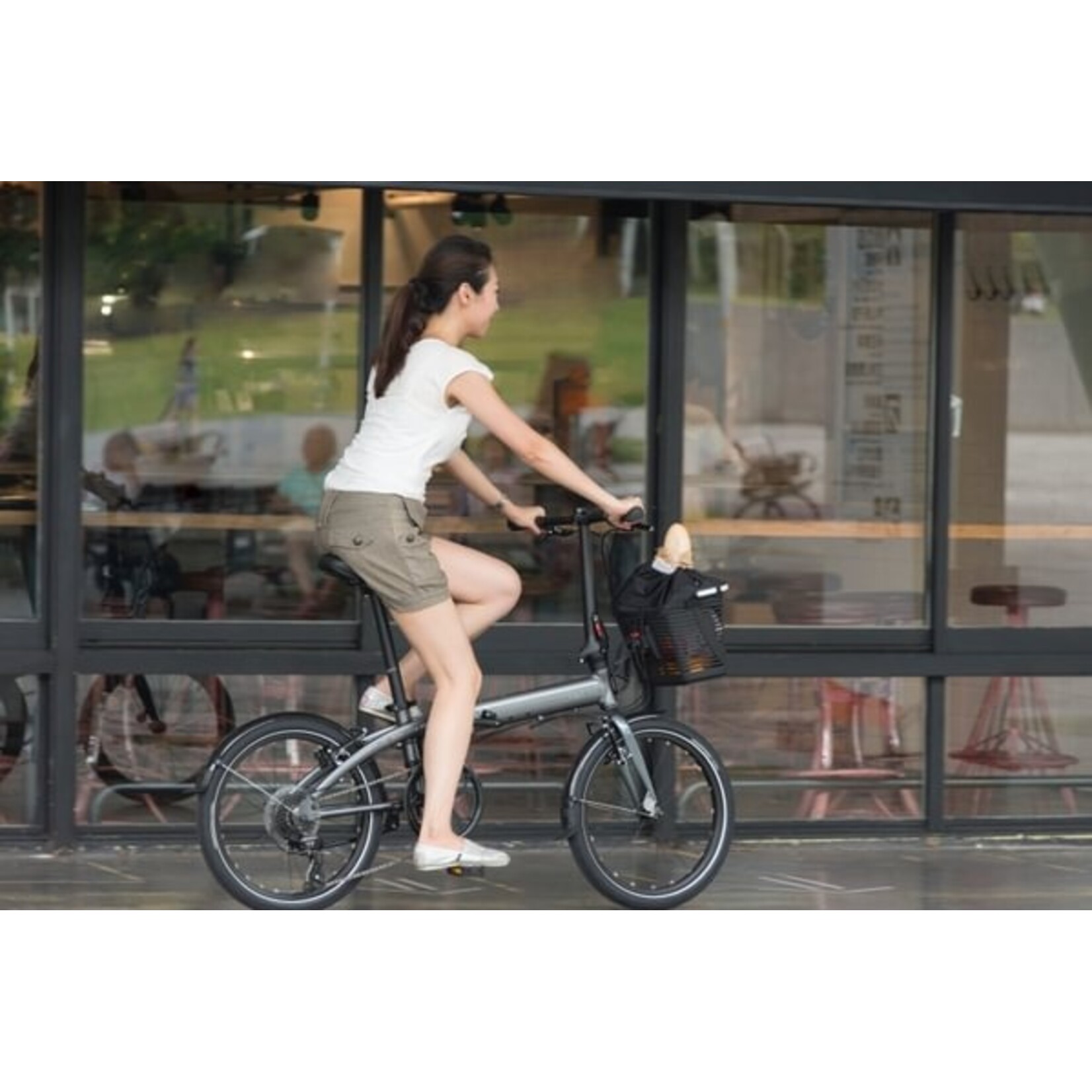 Tern Tern, Hold 'Em Basket