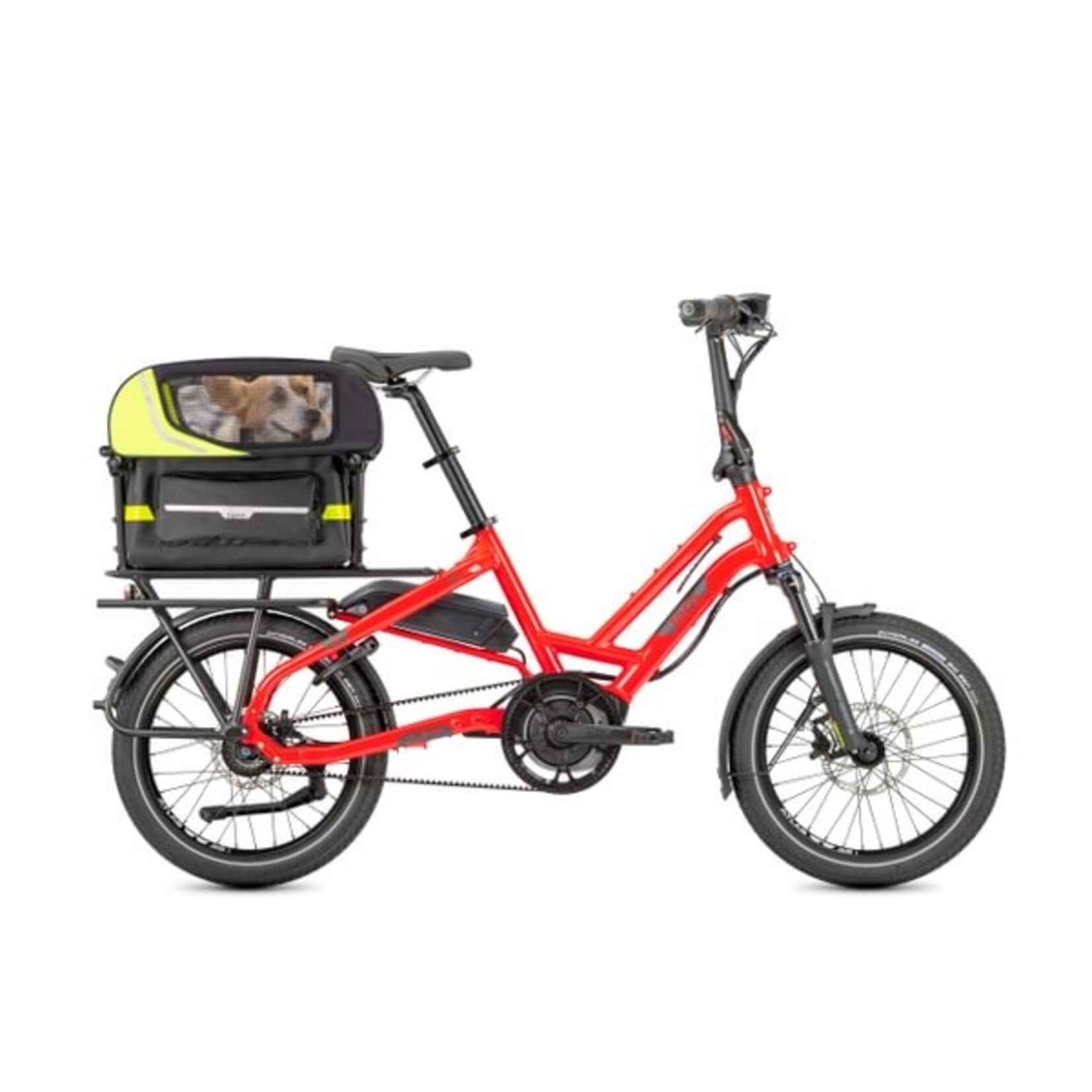 Tern Tern, Dog Roof Mini