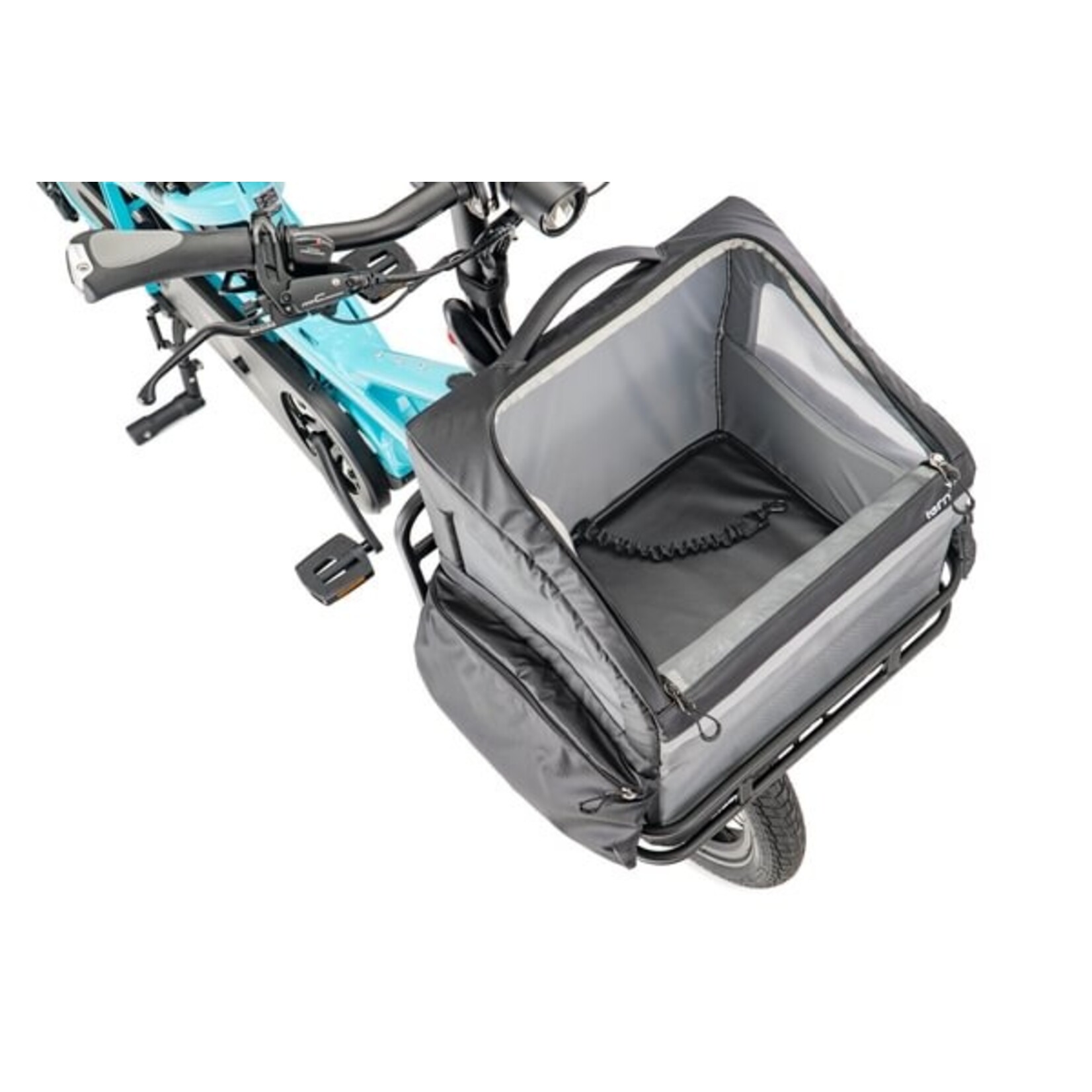 Tern Tern, Ruffhouse