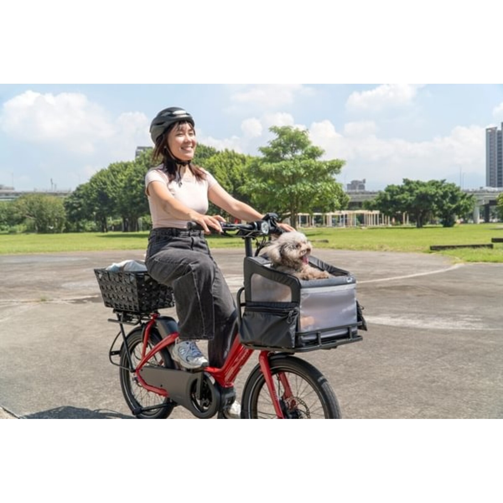 Tern Tern, Ruffhouse