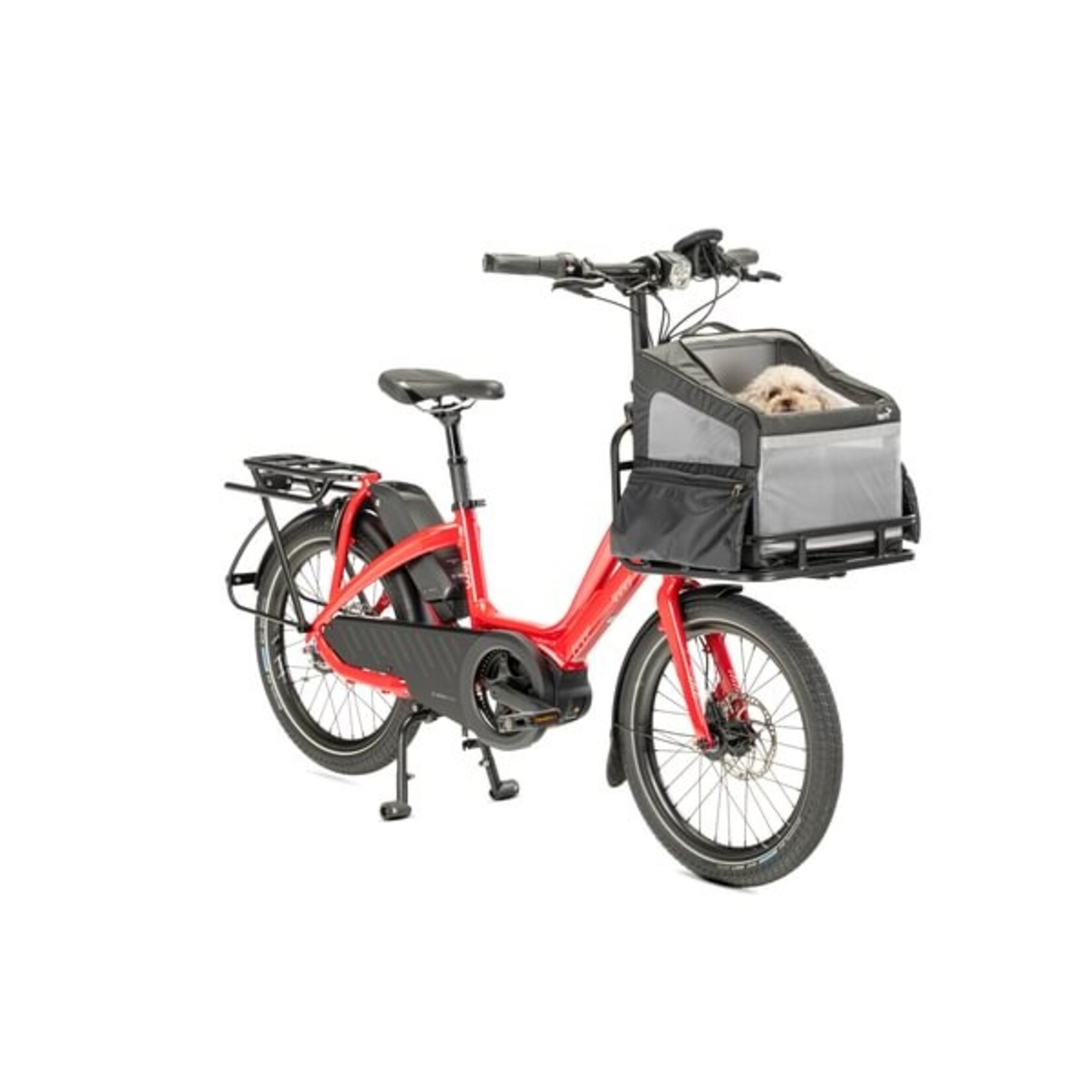 Tern Tern, Ruffhouse