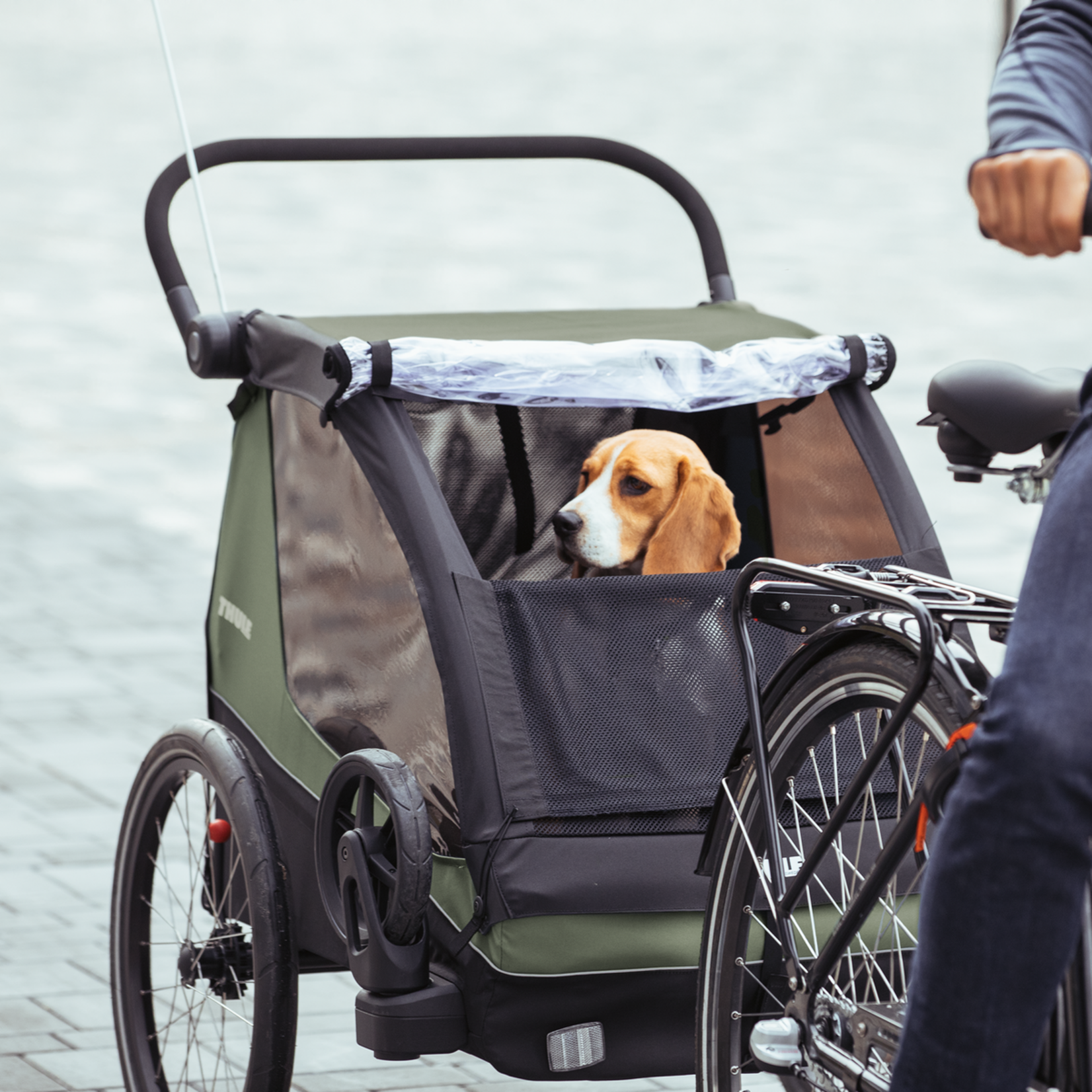 Thule Thule, Courier, Vintage Green
