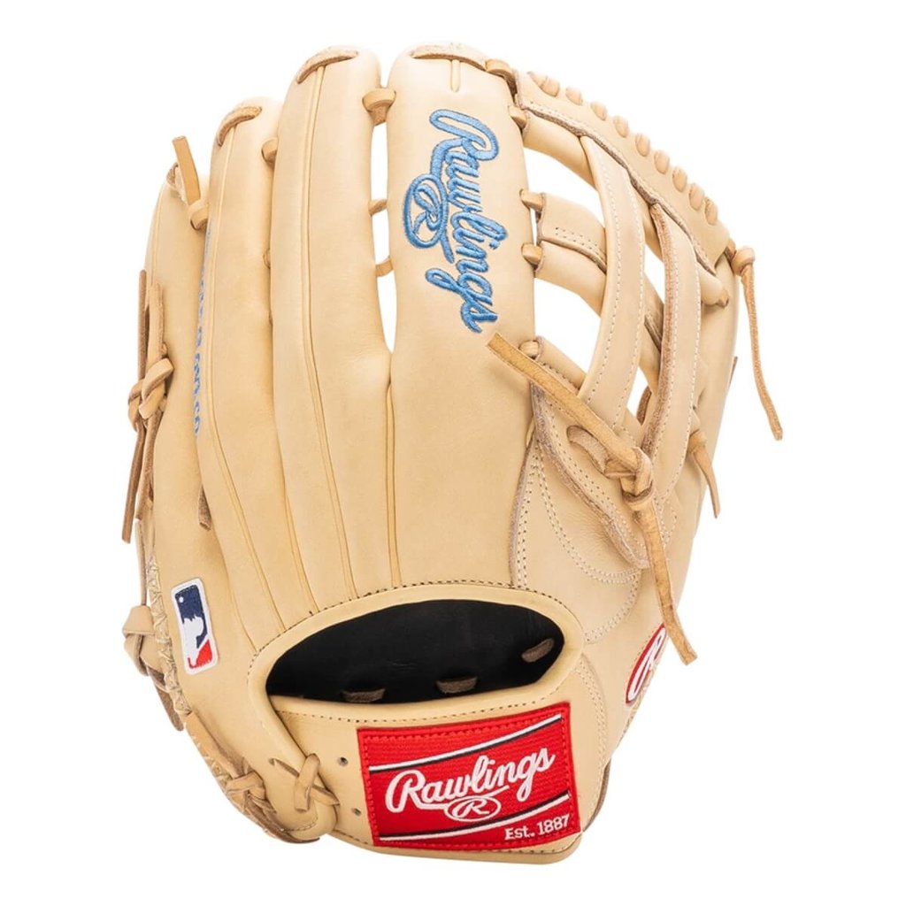 Rawlings ソフトボールシリーズグローブ Pro H Web 13インチ